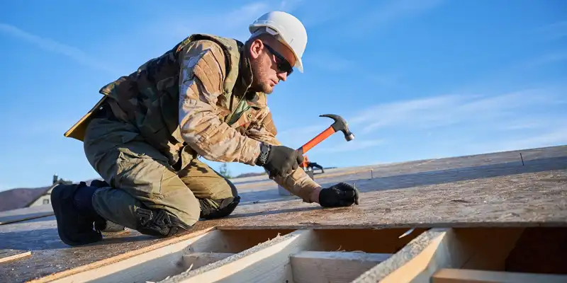 Démoussage en cours
